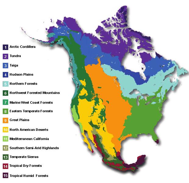 Learn More Biomes in North America The word biome describes specific areas on Earth