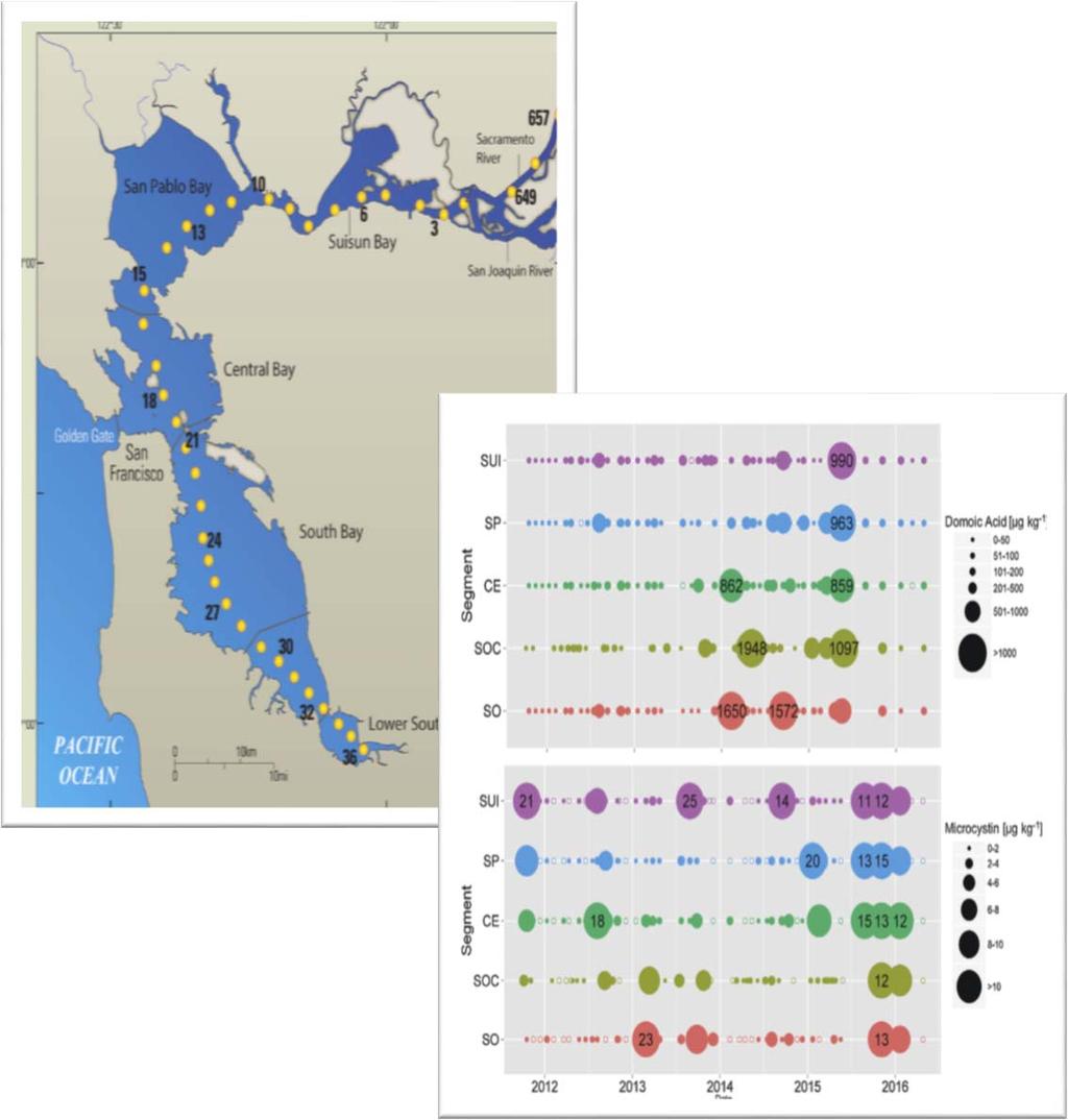 San Francisco Bay Water Quality Monitoring New SF Bay HAB Study from UCSC Simultaneous occurrence of three