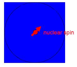 Hyperfine interaction It is an important source of spin relaxation, in which the spin-polarized electron gas interacts with the nuclear spins via H IS polarizing the nuclei while experiencing spin