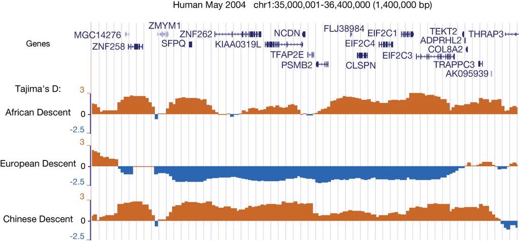 Fig. Q.15. An extended region with an excess of rare alleles indicative of positive selection. The region from human chromosome 1 is one of several identified in the study by Carlson et al.