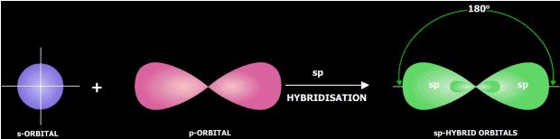 Each sp 2 hybrid orbitals has one-third s- character and two-third p-character. sp 2 hybridisation is also called trigonal hybridisation.