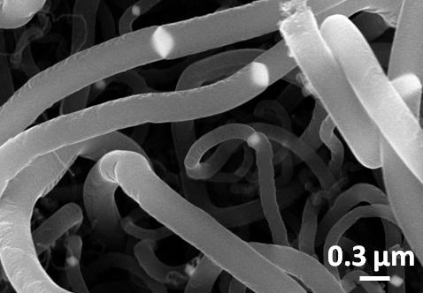5.2 (a) SEM image of as-received