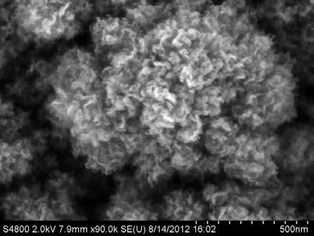 1a and b, the SEM image of the pristine HBGNs shows the