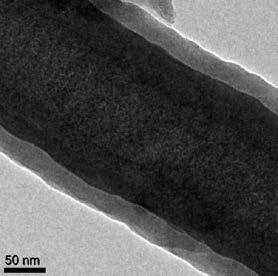 (scale bar in the inset: 20 nm). (b) TEM images of CNFs.