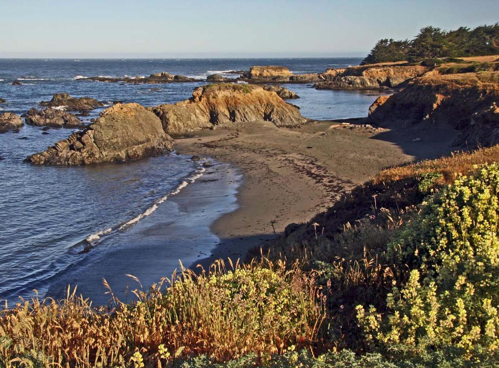 Shell Beach South Cove Seal Observation Area Tide Pool Beach Conglomerate and sandstone Shale Conglomerate and sandstone Shell Beach (south cove) Photo: looking north toward Shell Beach from bluff