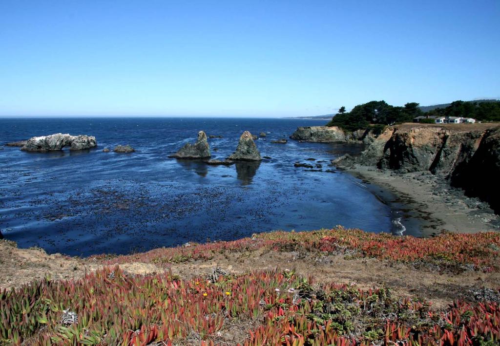 Sea Stacks near Sea Meadow Drive Meadow surface Basalt Sea stacks Basalt Photo: looking north to sea stacks from bluff (near post 7) These sea stacks, about 1/4 of a mile north of Black Point Beach,