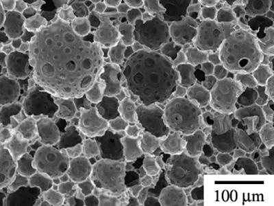 Firstly, it was found there were no particles in the polyhipes which were obtained with addition of the dry copolymer particles to MMA (Fig. ).