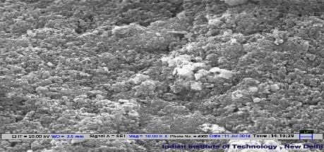 A Fig 2: Scanning electron microscopy image of synthesis of zinc oxide nanoparticles by exposure of Punica granatum peels aqueous extract.