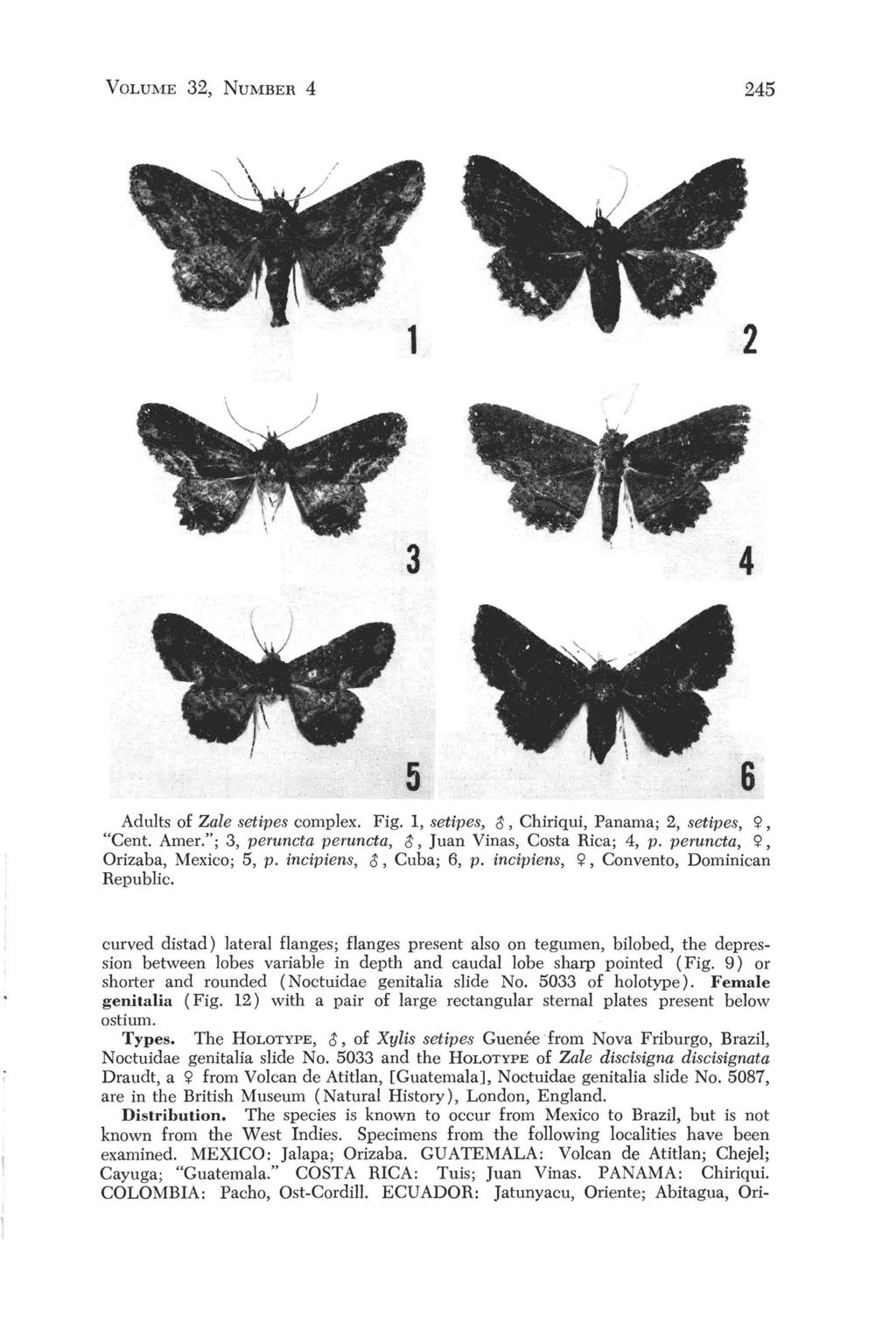 VOLUME 32, NUMBER 4 245 3 4 5 6 Adults of Zale setipes complex. Fig. 1, setipes, ~, Chiriqui, Panama; 2, setipes, C;>, "Cent. Amer."; 3, peruncta peruncta, ~,Juan Vinas, Costa Rica; 4, p.
