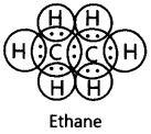 Write the electron dot structure of ethene molecule (C 2 H 4 ). 14. Write the electron dot structure of ethane molecule (C 2 H 6 ). 15.