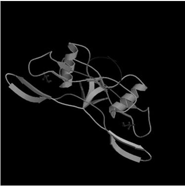Biol403 - Receptor Serine/Threonine Kinases The TGFβ (transforming growth factorβ) family of growth factors TGFβ1 was first identified as a transforming factor; however, it is a member of a family of
