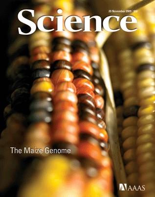 Plant genome sequencing Important