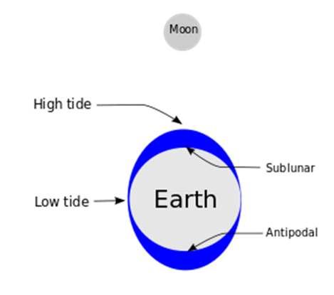 The tides on the Earth are mostly generated by the gradient in intensity of the Moon's gravitational pull from one side of the Earth to the other, the tidal forces.