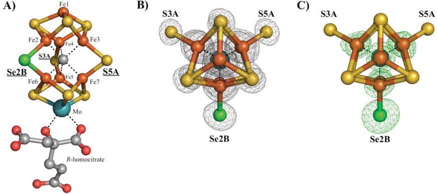 Publish X-ray Crystallography BMB/Bi/Ch173 02/06/2017 Catalysis-dependent selenium incorporation and