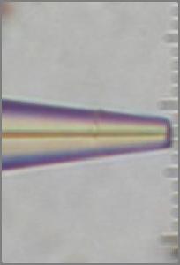 macroelectrode 3mm 5 µm UME