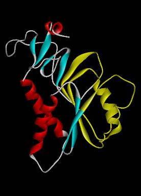 Capsid Protein 1HMP:A Glycosyltransferase 80