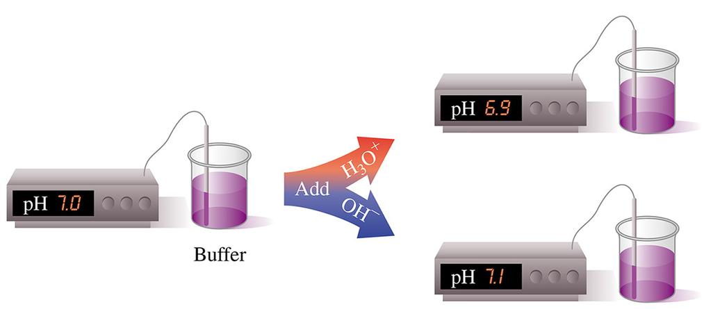 11.9 Buffers A buffer solution maintains the ph by neutralizing small amounts of added acid or base.