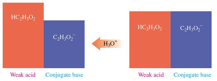 Function of Conjugate Base in a Buffer When a small amount of acid is added, the additional H 3 O + combines with the acetate ion, C 2 H 3 O 2, causing the equilibrium to shift in the direction of