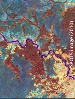 resources - SPOT satellites images on the Congo Basin (2010 reference dataset over 3 million sq. km and 2015 reference dataset over 1.8 million sq.
