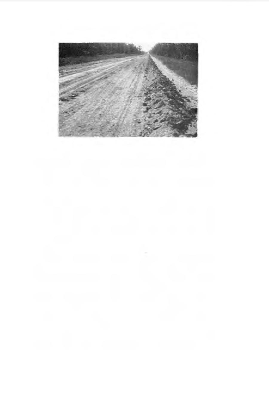 Fig. 6. Windrows of clay and gravel on shoulders. gravel back and forth on the road surface to aid in drying and pulverizing it.