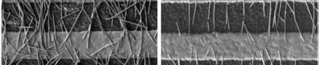 nanowires assembled on the electrode