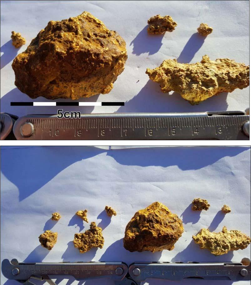 Figure 4. Some of the other large gold nuggets recovered from Mertondale.
