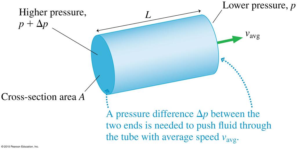 Viscosity and Poiseuille s Equation The pressure difference needed to keep a fluid moving is proportional to v avg and to the