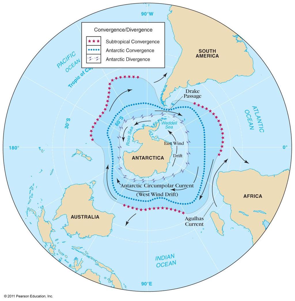Antarctic Circumpolar Current Also called West Wind Drift and Penguin Gyre Only current