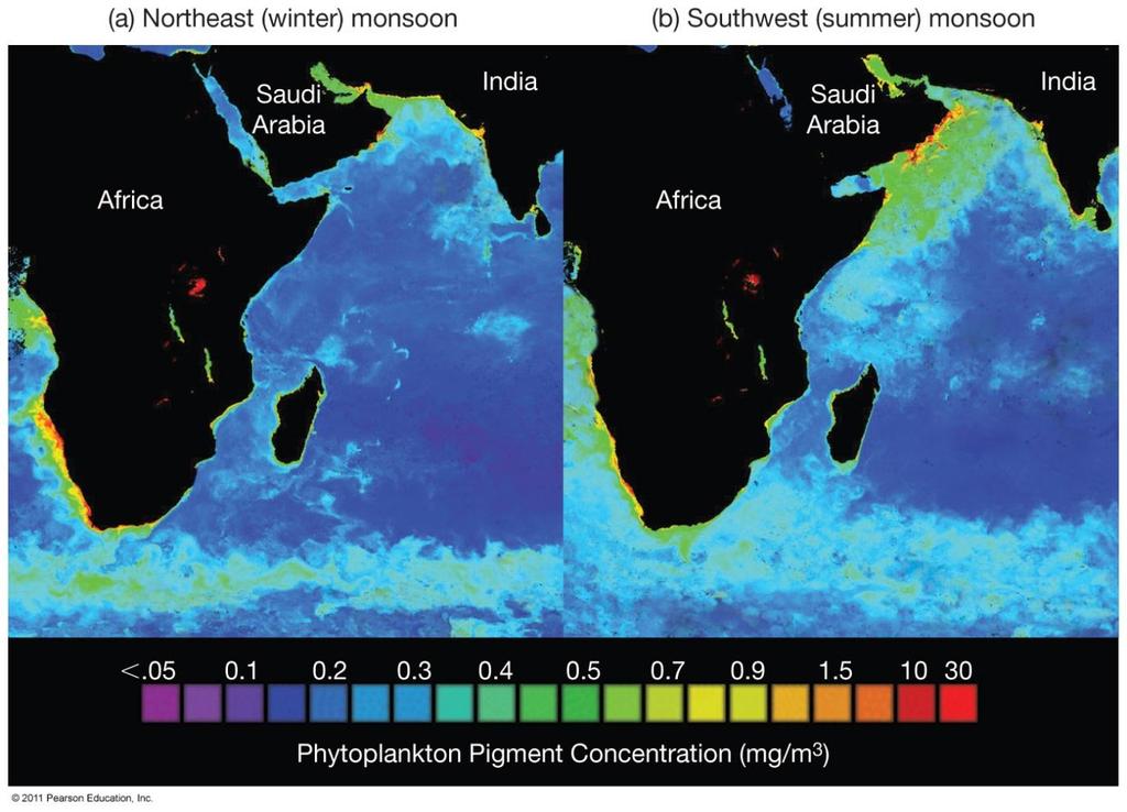 Affects seasonal land weather Affects seasonal Indian Ocean current