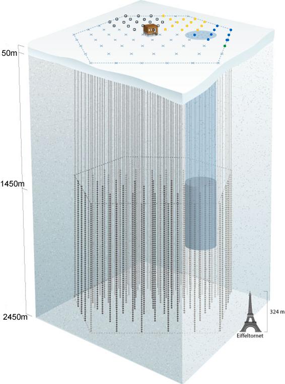 High Energy Neutrino Telescopes 12 Figure 5. A schematic of the IceCube detector array.