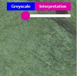 Greyscale Pressing the greyscale button overlays the geophysical survey onto the aerial photograph,