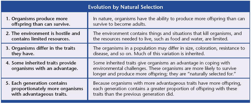 As the populations of a given species change, so does the species. Nature Selects An example of evolution is a population of deer that became isolated in a cold area.