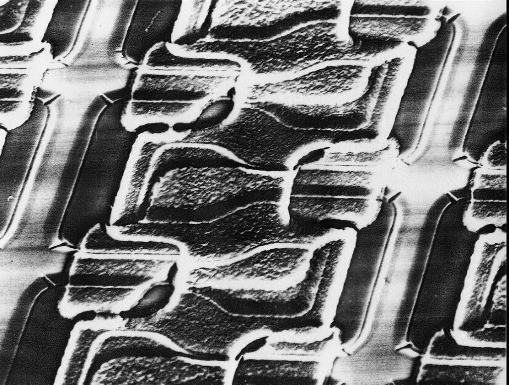 SEM of poly-diffusion capacitor 1T-DRAM Advanced