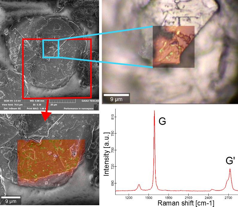 Application Example Imaging Carbon materials with correlative Raman-SEM microscopy 5a 5b 5c Fig.