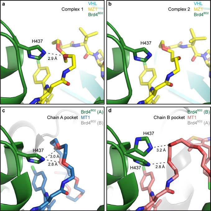 Supplementary Figure 4. Comparison of protein-ligand interactions involving PEG linkers of MZ1 and MT1.