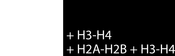 Supplementary Figure 10 SEC of with H2A-H2B and H3-H4.