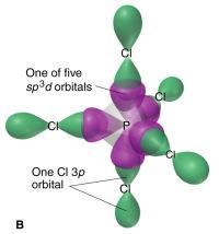 The sp 3 d hybrid orbitals in PCl 5 The sp