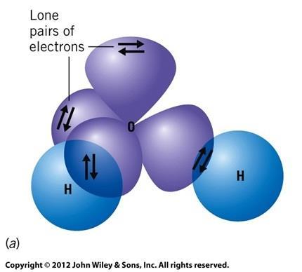 Hybridization in Molecules that Have Lone Pair Electrons H 2 O