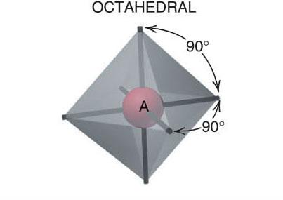 of the octahedral