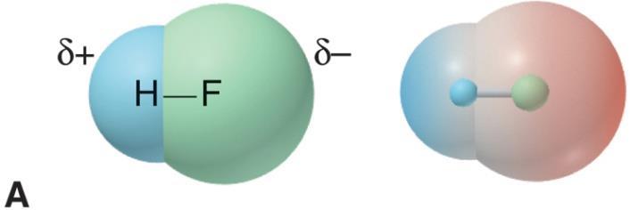 The orientation of polar molecules in an