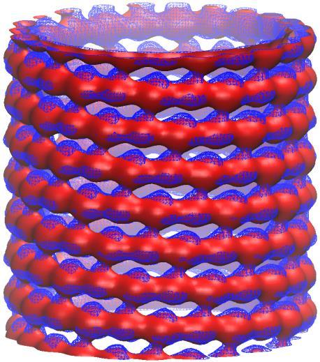 microtubule