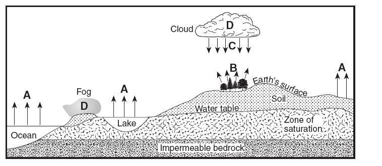 Four things that can happen to precipitation: (1) Evaporate back into water vapor (2) Infiltrate into the ground (3) Be stored in glaciers as ice (4) Roll across the surface as runoff Conditions that