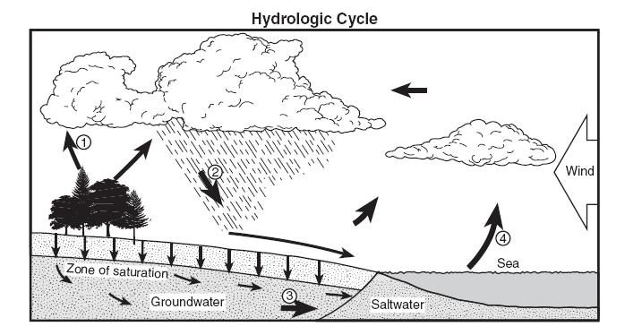 Base your answers to questions 12 through 15 on the water cycle diagram shown below. Some arrows are numbered 1 through 4 and represent various processes. 12. Which numbered arrow best represents the process of transpiration?