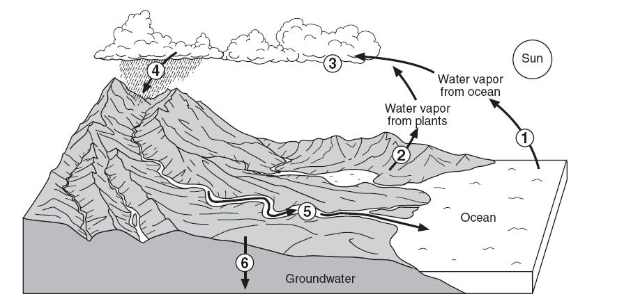 Hydrologic Cycle / Water Cycle The diagram below shows a model of the water cycle. The arrows show the movement of water molecules through the water cycle.