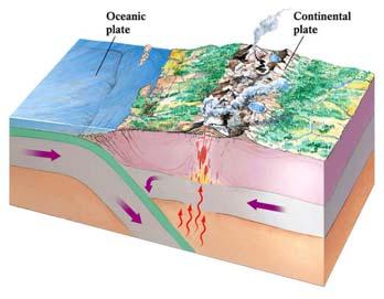 Convergent Boundary: Subduction Melting Produces More Felsic