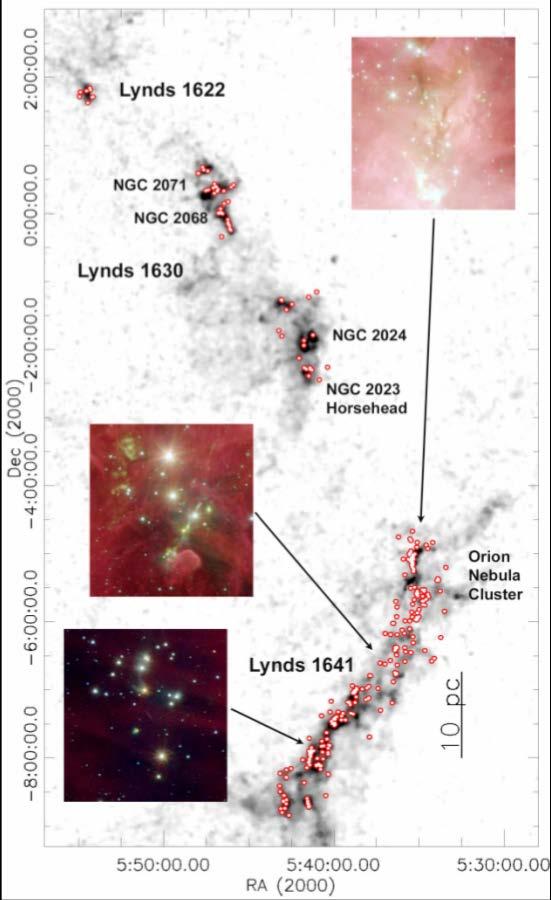 Orion: The Great Frontier Most populous star forming region within 500 pc Nearest region actively forming high and intermediate mass stars Approved ALMA Cycle 3