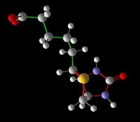 Style and color : moleculele pot fi reprezentate ca - ball-and-sticks, - sticks, - space-fill (CPK), - wireframe Ball and Stick : atomii sunt sfere iar legaturile sunt reprezentate ca cilindrii.