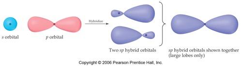 Orbital Hybridization I. The shapes we know don't match shapes from Ch. 6!!! A. As elements form a bond, their orbitals become a B. You can determine 1. Look at table again...hybridization = 2.