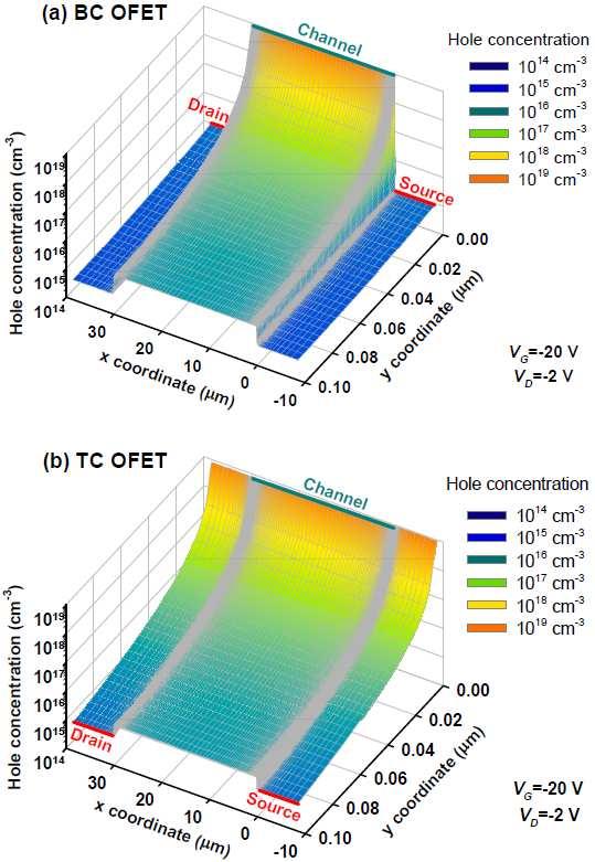 Fig. 3. 3D mesh plots showing the variation of the hole concentration in the semiconductor xy plane (trap-free case); (a) BC OFET and (b) TC OFET.