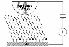 A SAM measurement: Alkanethiol molecular wires.